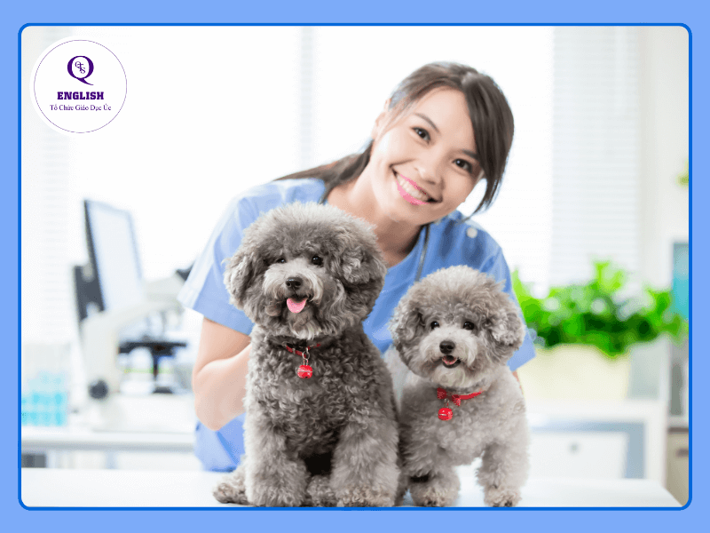 Bác sĩ thú y là nghề nghiệp thú vị