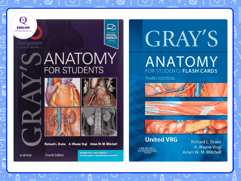 Gray’s Anatomy for student