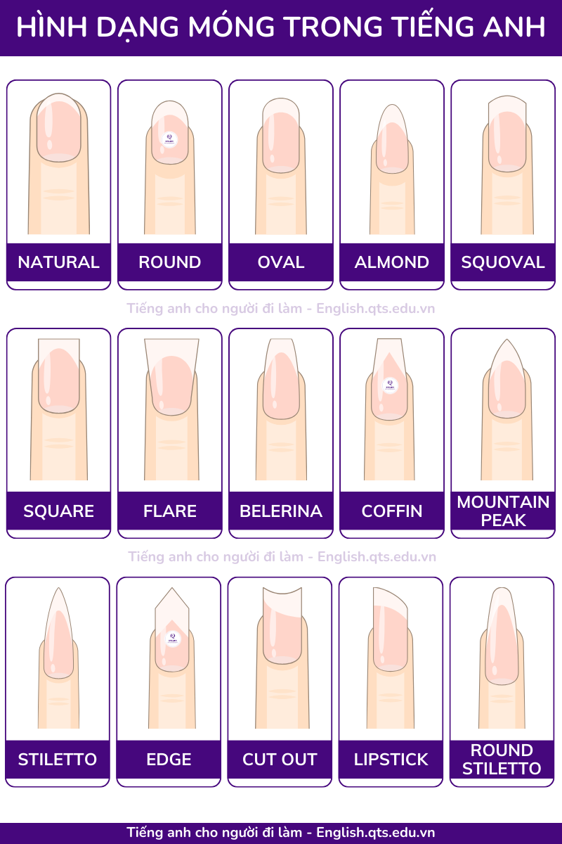 Hình dạng móng trong tiếng Anh ngành nail