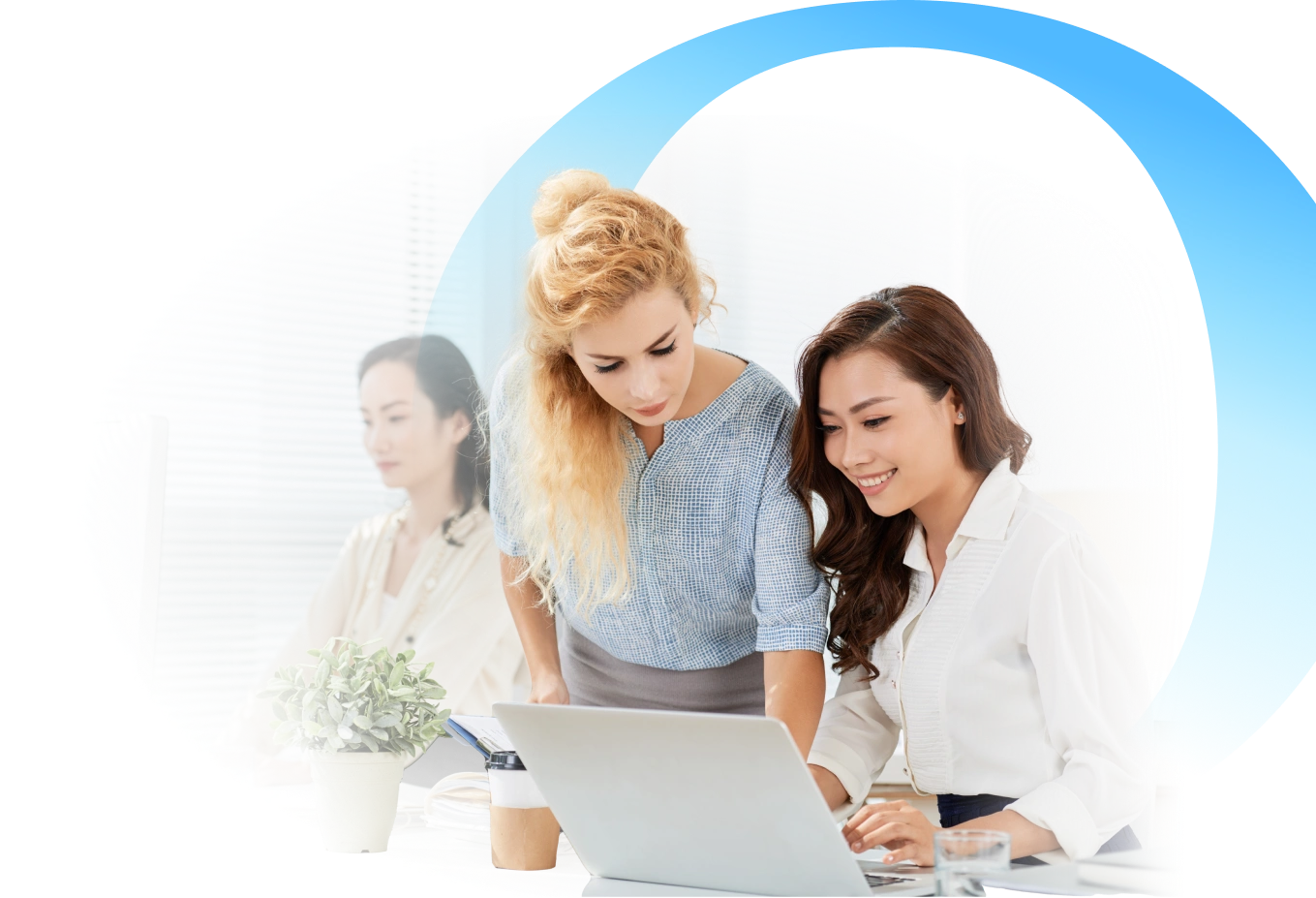 Cam kết từ Ban giáo sư Úc