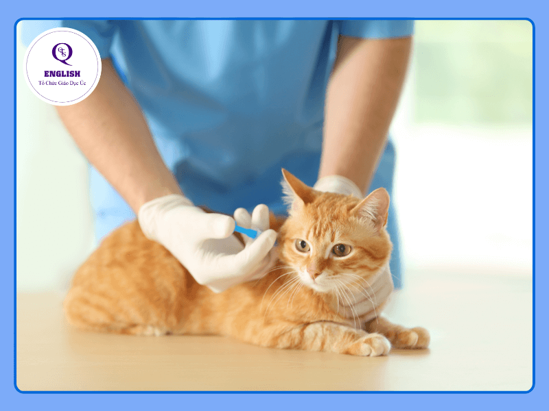 Bác sĩ thú y là nghề nghiệp có mức lương hấp dẫn