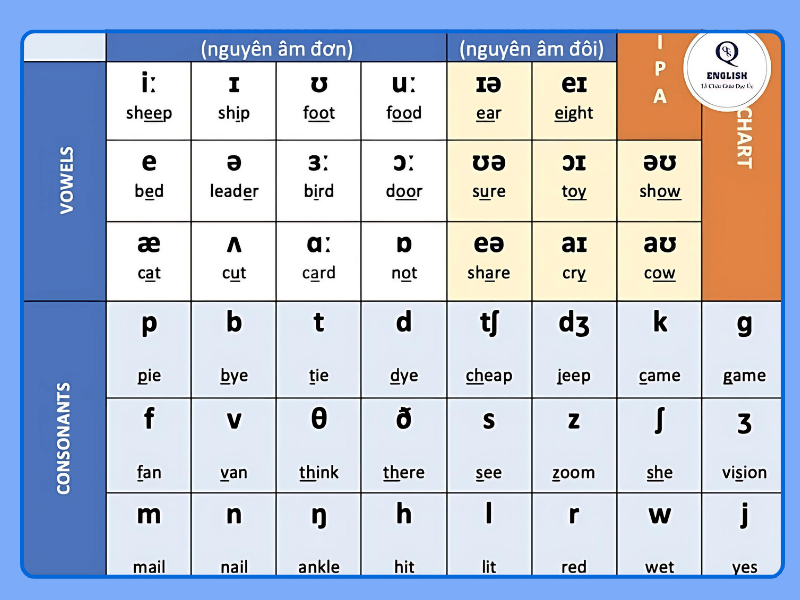 Bảng nguyên âm và phụ âm tiếng anh
