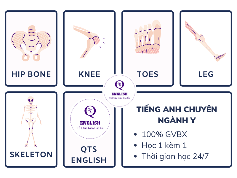 Tiếng Anh chuyên ngành Y tế